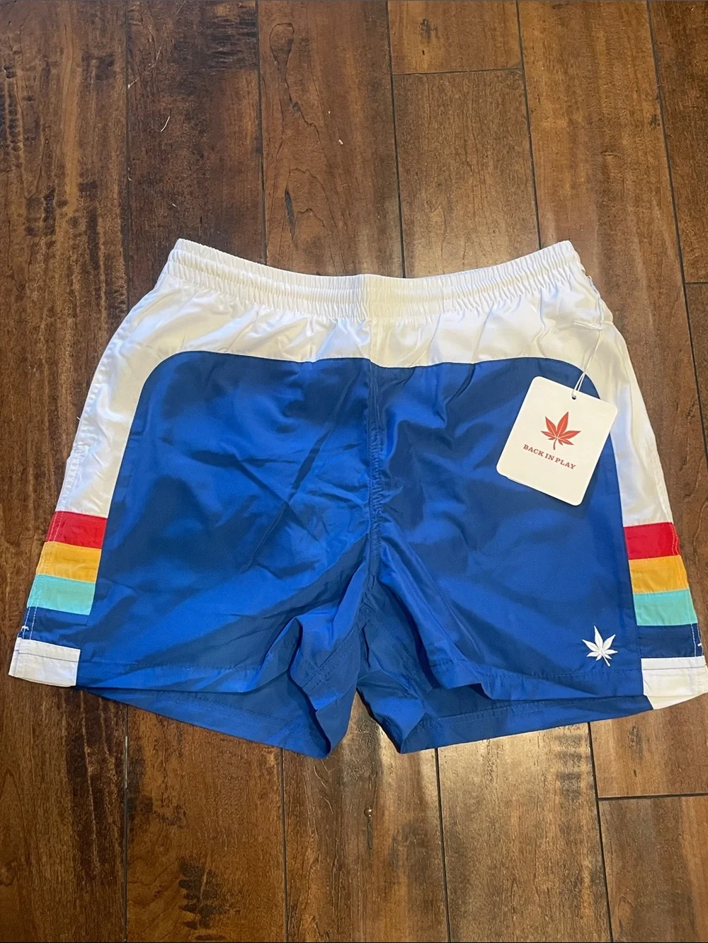 BOAST Men's Blue Athletic Swim Shorts with Rainbow Stripe Accent